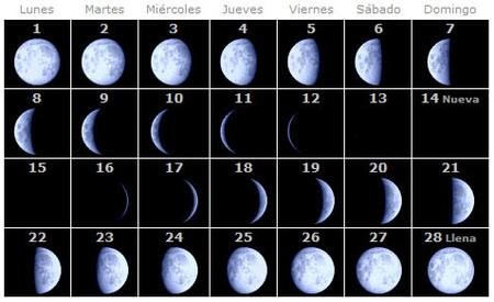 Ejemplo de fases de la Luna.